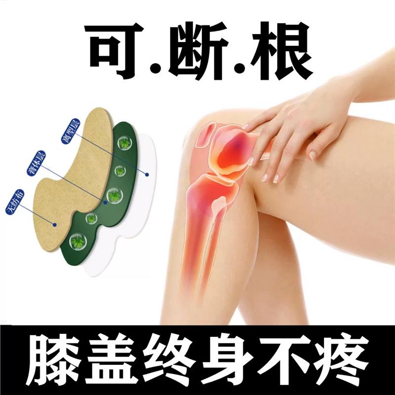 膝盖护关节半月板骨质滑膜