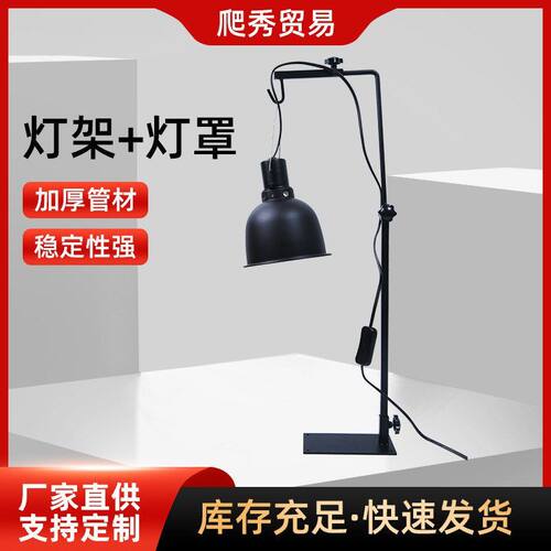 2026新款蜥蜴灯架灯罩刺猬宠物