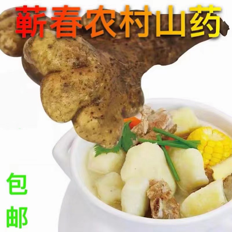湖北黄冈浠水武穴蕲春特产农家现挖佛手新鲜手掌山药煲汤食材蔬菜