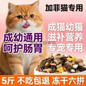 加菲猫专用高蛋白全阶段猫粮10斤大包装 幼猫成猫通用型冻干搭配