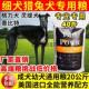 格力犬细犬惠比特灵缇成幼狗粮大包装 40斤通用型10斤便宜实惠流浪
