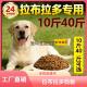 拉布拉多专用营养狗粮小幼犬成犬哺乳期家狗通用型40斤大包装 便宜