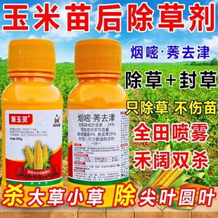 玉米苗后强效型除草剂烟嘧磺隆莠去津杀大草封杀双效香附子除草剂