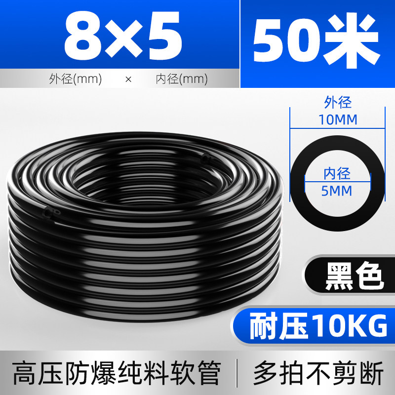 Variant 5979341190940