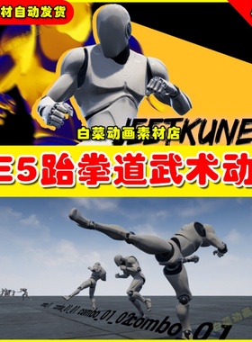 UE4 UE5 JeetKuneDo_animset 跆拳道武术格斗功夫动作动画