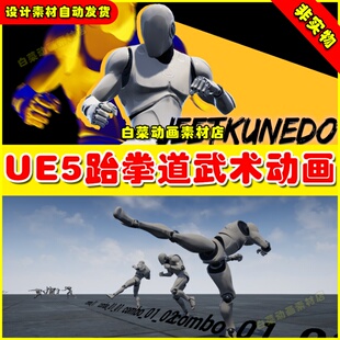 UE4 UE5 JeetKuneDo_animset 跆拳道武术格斗功夫动作动画