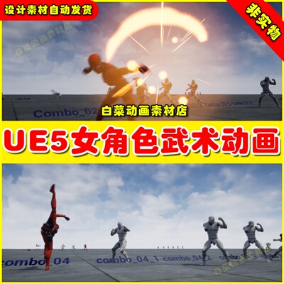 UE5 UE4 Girl Martial Arts AnimSet 女角色人物武术动画4.27 5.1