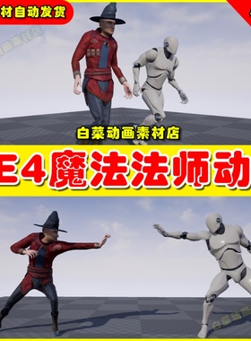 UE4虚幻资产UE5 Mage Animset 师巫师人物动作施法动画
