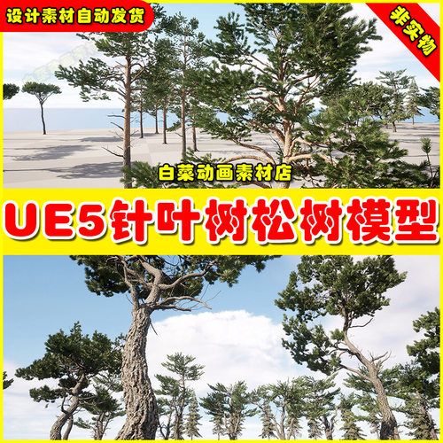 UE5 DZ Trees - Conifers 虚幻引擎5.5针叶树松树植物树木模型