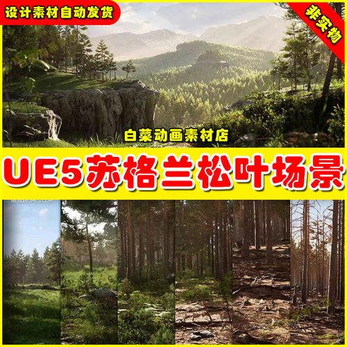 Real Biomes Scots Pine Forest Biome UE5 苏格兰松林树林场景