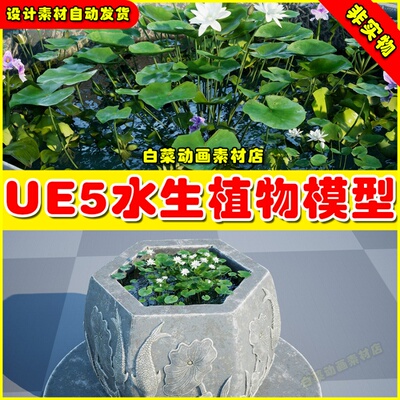 UE5 Water tank Aquatic_plants水箱水生植物虚拟设计素材模型5.2