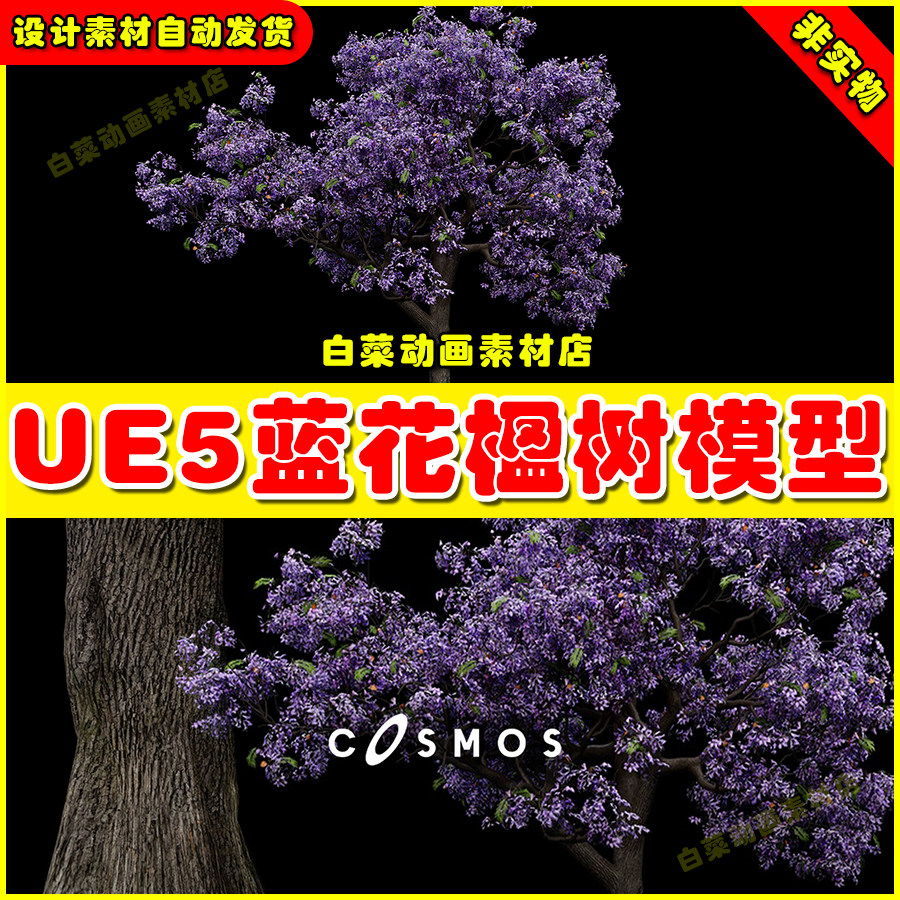 虚幻引擎UE5 Jacaranda Tree 01 5.5版本兰花楹树植物模型
