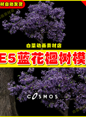 虚幻引擎UE5 Jacaranda Tree 01 5.5版本兰花楹树植物模型