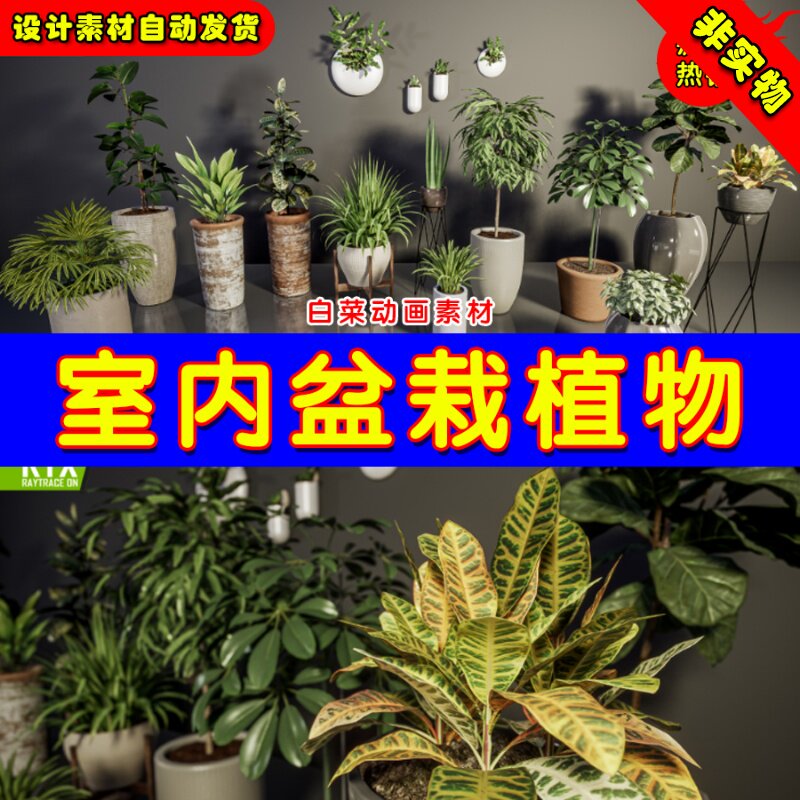UE4盆栽UE5室内植物 HQ Plants Vol.1 ( Interior Plants )