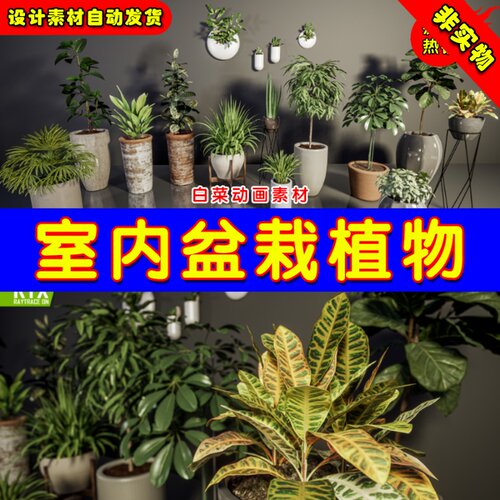 UE4盆栽UE5室内植物 HQ Plants Vol.1 ( Interior Plants )