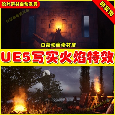 UE5虚幻Realistic Environment VFX 写实环境场景火焰粒子特效5.2