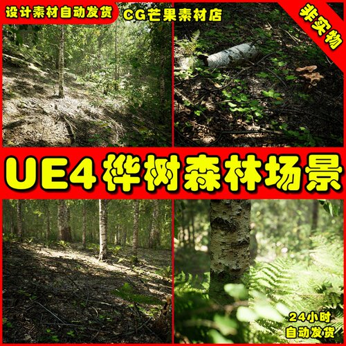 UE4 桦树森林 UE5树木树林场景MW Birch Forest Biome