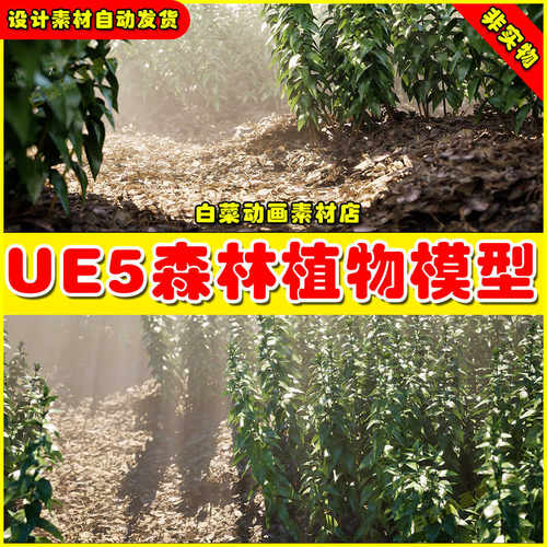 UE5 Nanite Nettle 1 森林植物落叶枯萎模型5.3版本