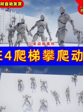 UE4攀爬梯子UE5人物攀岩动画 Ladders and Ledges Animset