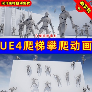 UE4攀爬梯子UE5人物攀岩动画 Ladders and Ledges Animset