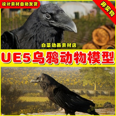 UE5虚幻资源 Animalia-Raven 乌鸦怪物鸟类动画模型5.2