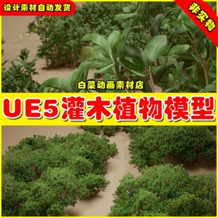 Bushes Nanite and Foliage Poly Coyote Low 灌木植物 VOL.9