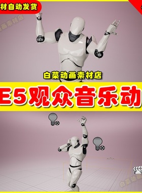 UE5 Music Audience Animation Pack for Concert音乐观众动画5.2