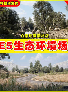 UE5 Steppe Environment 4x4km Landscape生态环境场景5.1版本