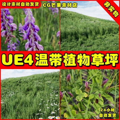 UE4温带草坪 UE5植物temperate Vegetation Foliage Collection