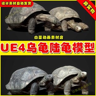 UE4UE5乌龟陆龟动物动画模型 Galapagos Tortoise 4.27
