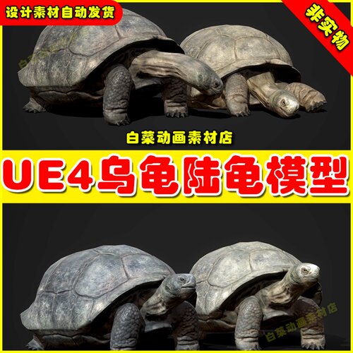 UE4UE5乌龟陆龟动物动画模型 Galapagos Tortoise 4.27