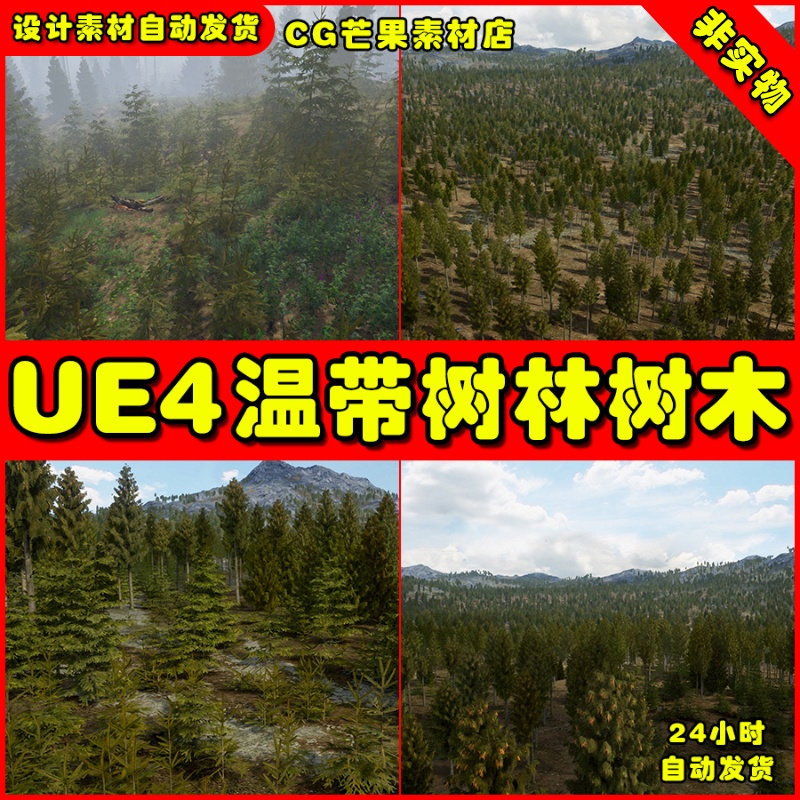 UE4温带森林 UE5植物树木 temperate Vegetation Spruce Forest