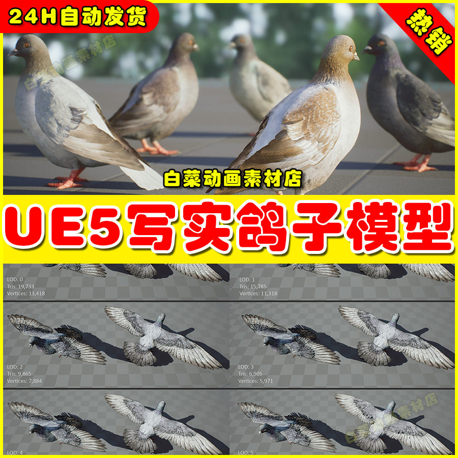 ue5 realistic 3d pigeon & animations pack写实鸽子动画生物5.