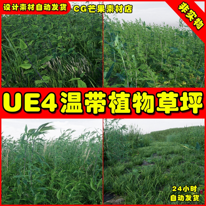 UE4温带草坪UE5草地植物 temperate Vegetation Ground Foliage
