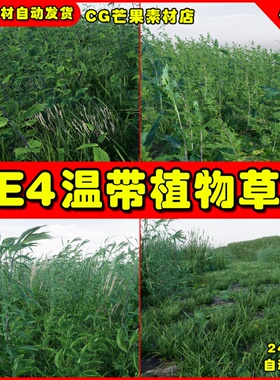 UE4温带草坪UE5草地植物 temperate Vegetation Ground Foliage