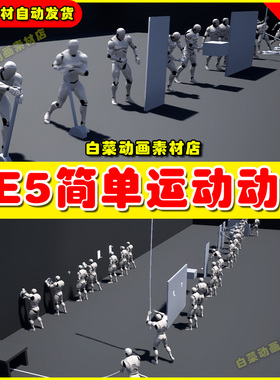 UE4 UE5 Simple Activations 人物角色简易运动动作动画4.27 5.4