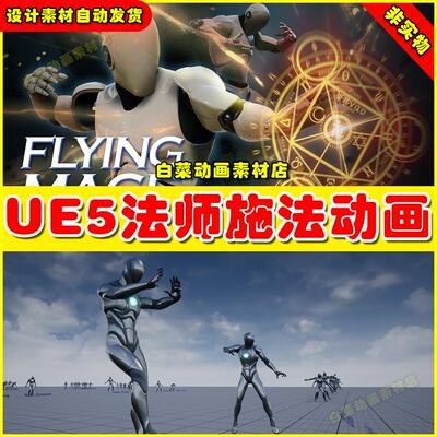 UE4UE5 Flying Mage AnimSet V1.2 魔法师巫师动画4.27 5.4版本