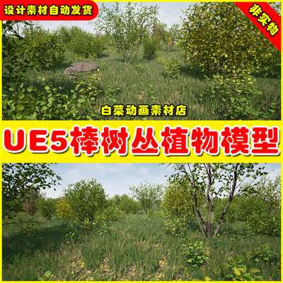 虚幻UE5 Hazel Bushes 5.5版本棒树丛植物模型树木植物