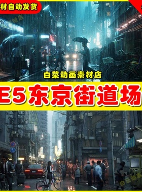 UE5虚幻TOKYO BACK ALLEYS 东京街道后巷夜晚城市道路场景5.2版本