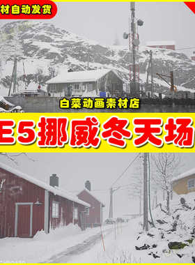 UE4UE5 Norwegian Winter Island Village Megapack挪威冬天场景