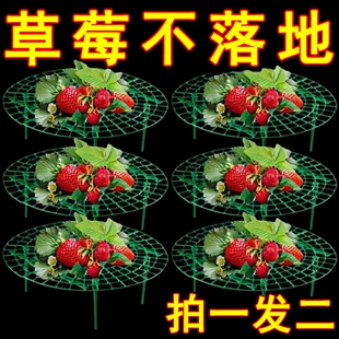 家庭草莓种植支架托架防腐烂防倒伏简约支撑架园艺花卉托盘架神器