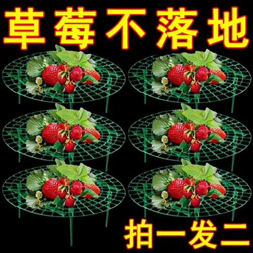 草莓托果网圆形加厚款花托