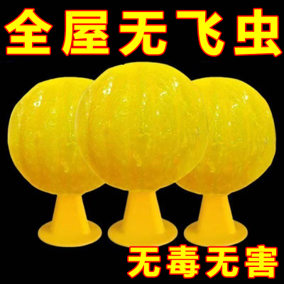 新款果蝇克星厨房厕所驱虫神器灭蚊虫粘虫板家用室内商用粘蚊子球