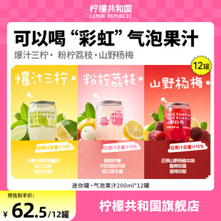 檸檬共和國(guó)荔枝山野楊梅三檸迷你氣泡水果汁飲料清爽解膩汽水飲品