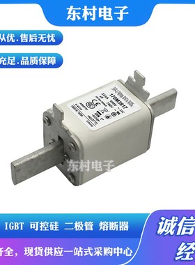 现货170M3965 170M3966 170M3967 170M3968/3969/3970全新熔断器