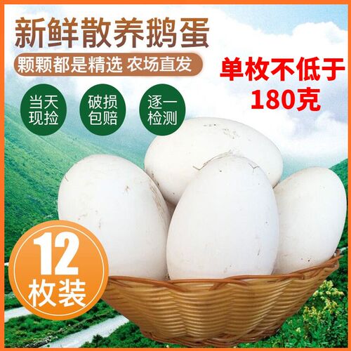 现捡现发 品质特大土鹅蛋