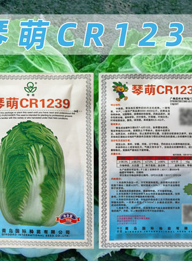 琴萌CR1239大白菜种子抗病强耐热