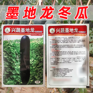 兴蔬墨地龙冬瓜种子黑皮大冬瓜种孑瓤腔小耐储运商品性好冬瓜种籽