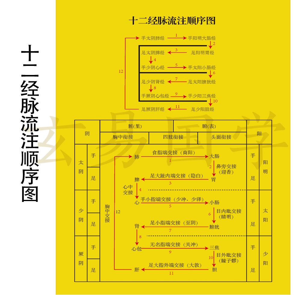 中医十二经脉流注顺序图