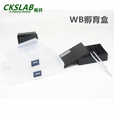 western blot 抗体孵育盒 黑色避光 洗膜盒 脱色盒 染色盒 抗体小盒 封闭盒 单格/5格/6格 免疫组化湿盒